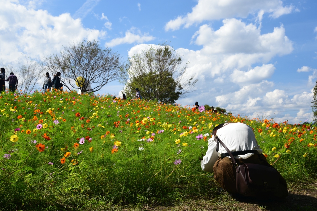 181014万博公園35