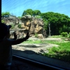 180601動物園09+