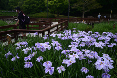 220528山田池公園15