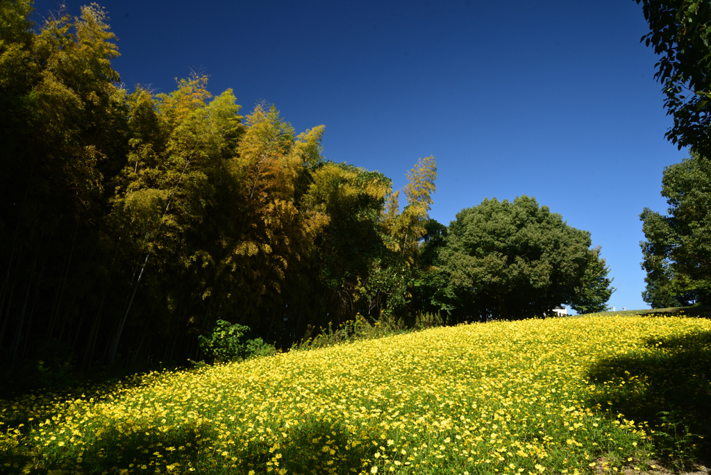 221014馬見丘陵公園02