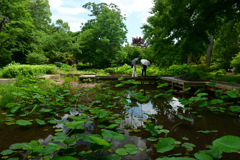 250617京都植物園23