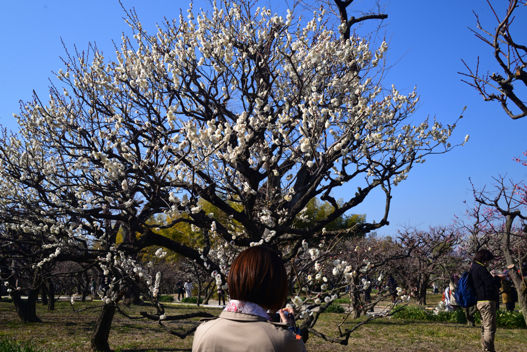 220226万博公園71