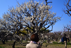 220226万博公園71