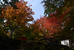 211106b神護寺02