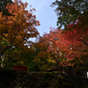 211106b神護寺02