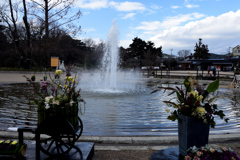 180120植物園31+