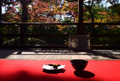 221116b妙心寺大法院10