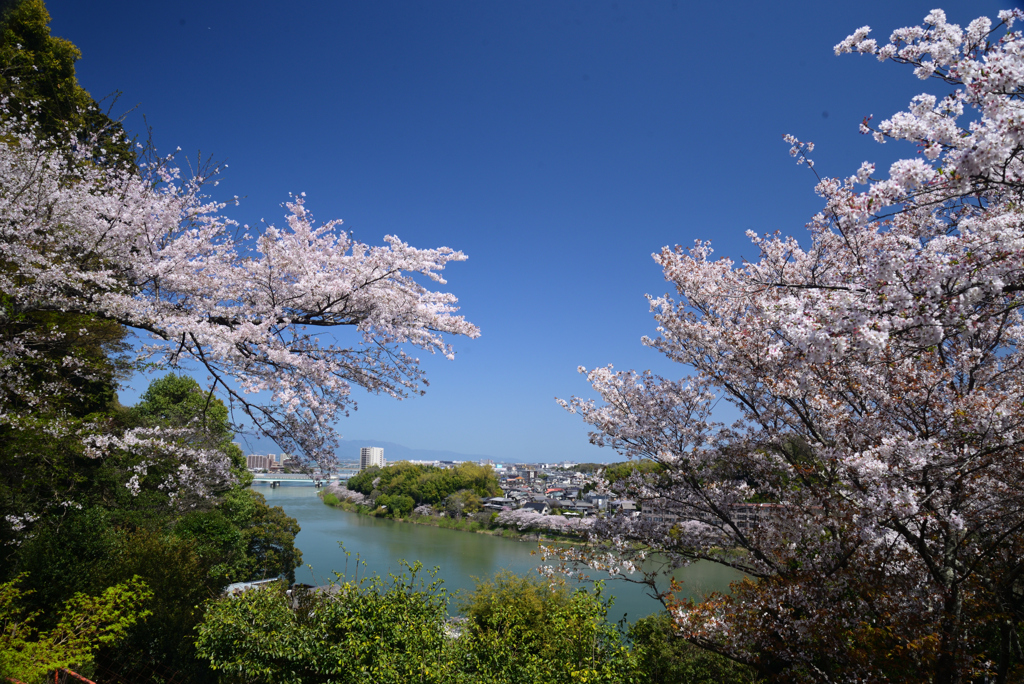 240410a石山寺20