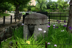 250607水月公園38