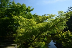 180505等持院15