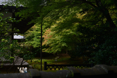211024e南禅寺38