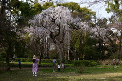 220325d京都御苑22