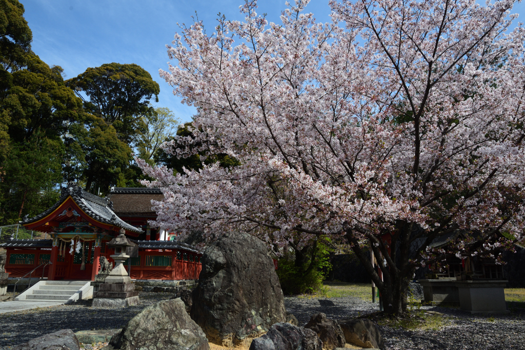 200411久世神社17