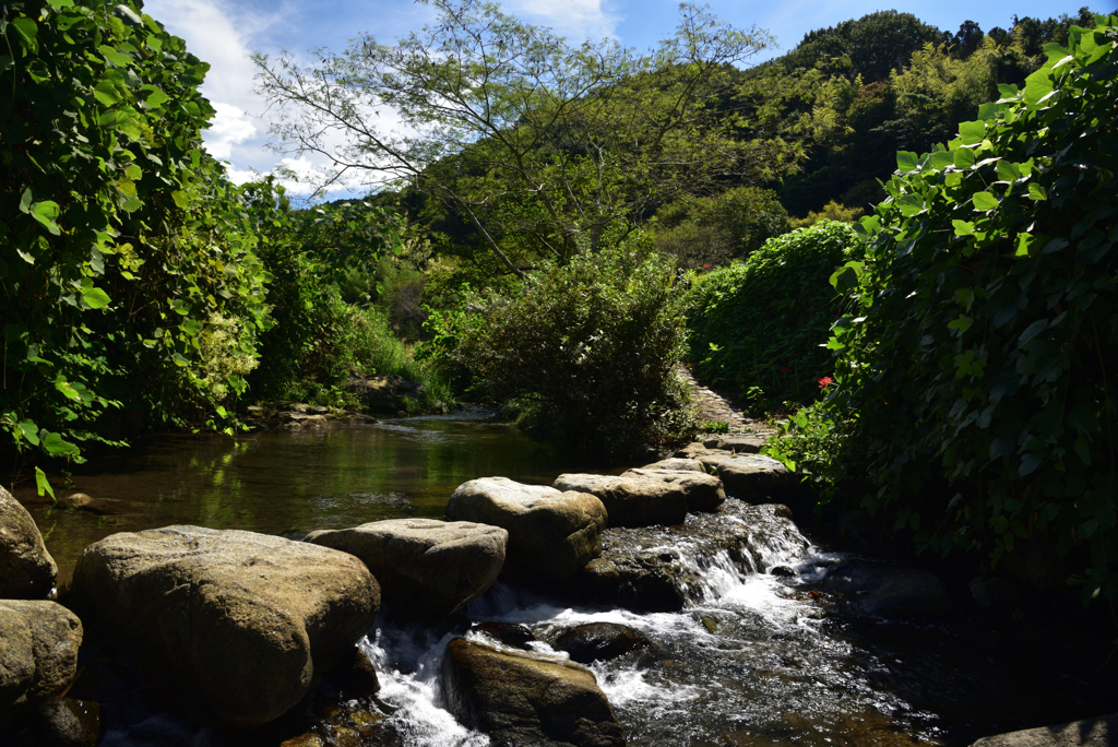 190925b明日香村稲渕34