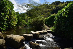 190925b明日香村稲渕34