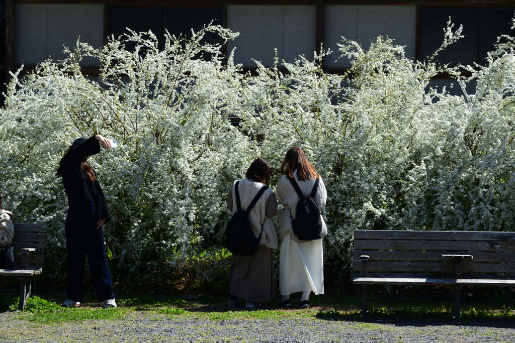 230320c京都御苑41