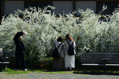 230320c京都御苑41