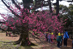 250307c京都御苑34