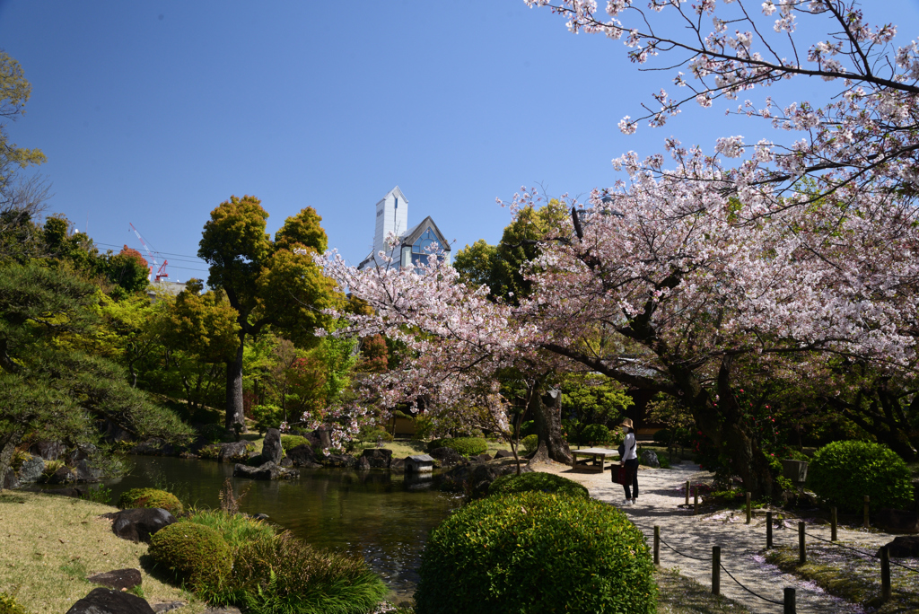 220409b四天王寺25