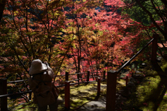 231121a善峯寺08