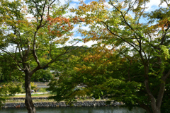 2501010b宇治川03
