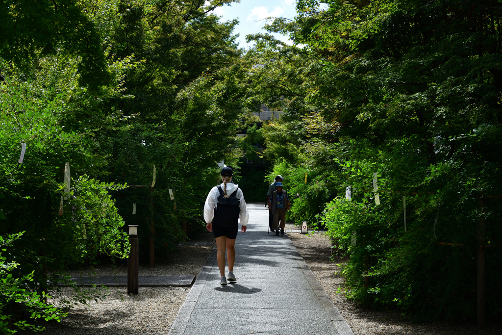 250930d梨木神社28