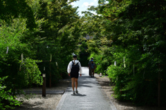 250930d梨木神社28