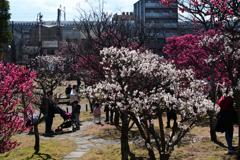 240212c梅小路公園02