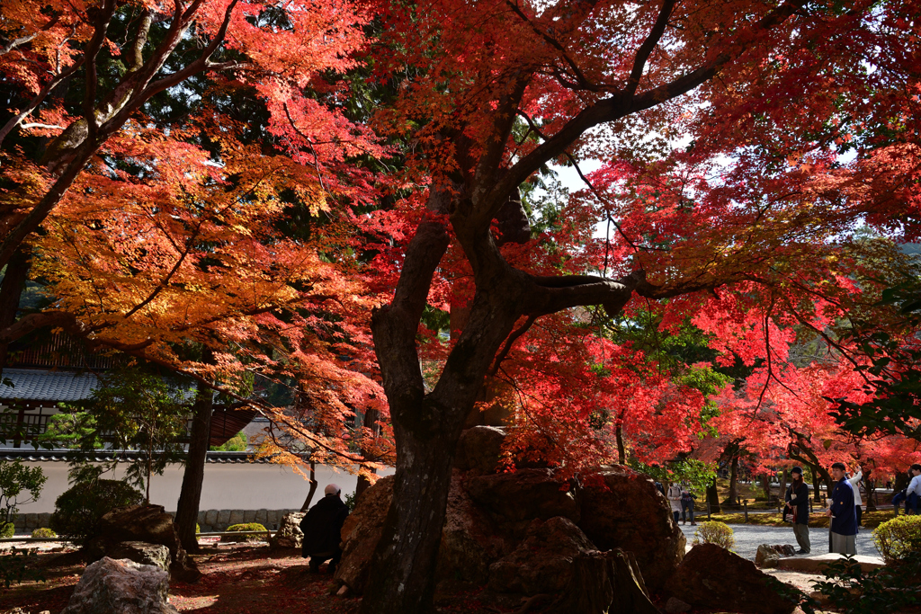 231130a南禅寺12