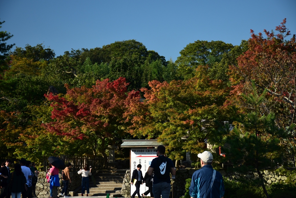 171027g天龍寺51