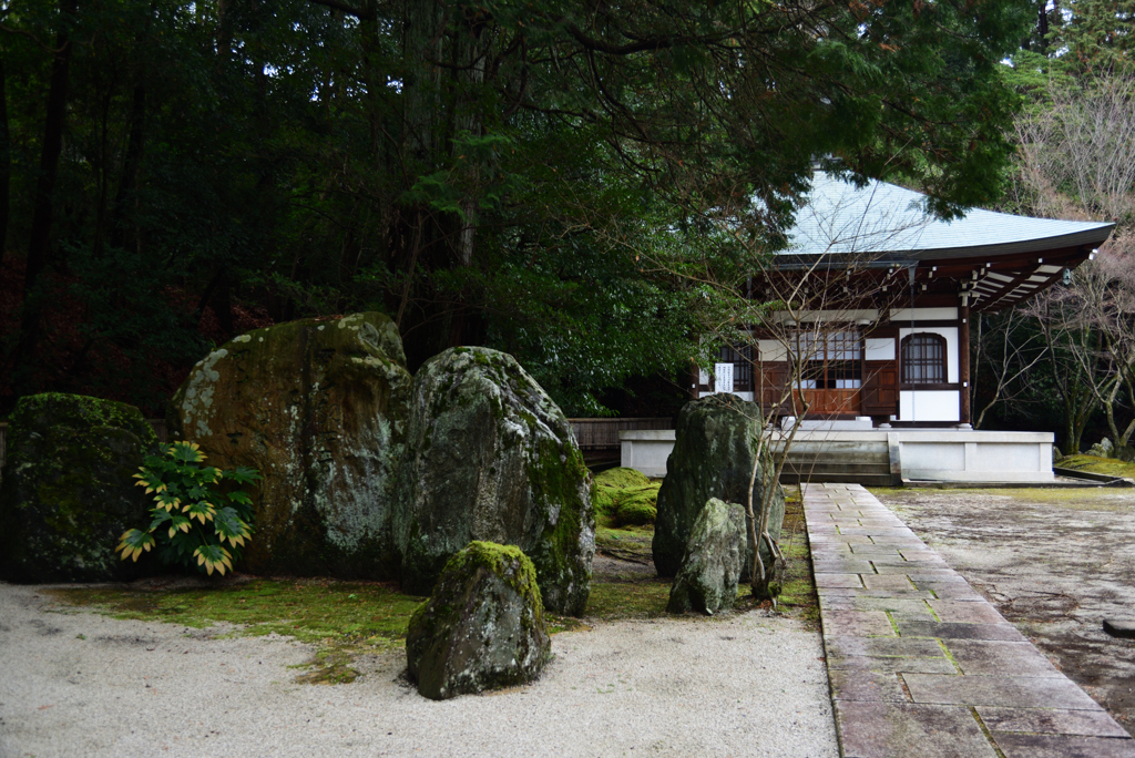 200124b泉涌寺26