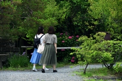 180607b梅宮大社12+