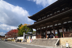221116d仁和寺01
