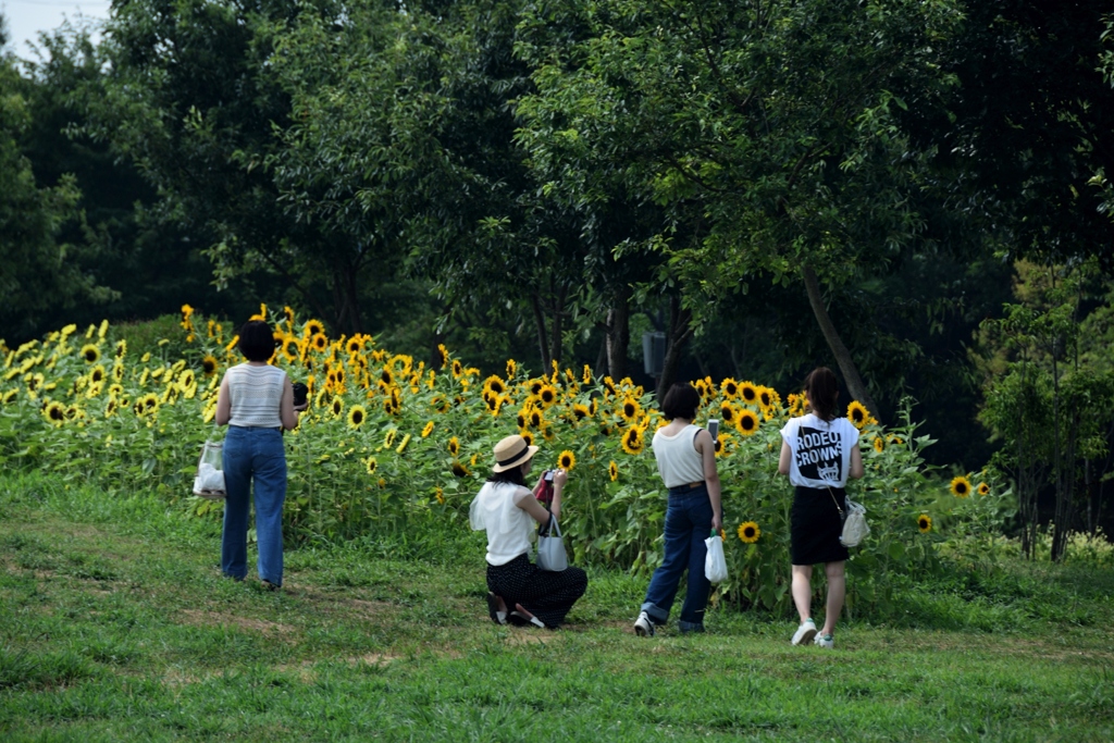 180803馬見丘陵01+