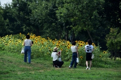 180803馬見丘陵01+