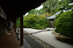 250829a建仁寺09