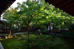 191117b建仁寺23