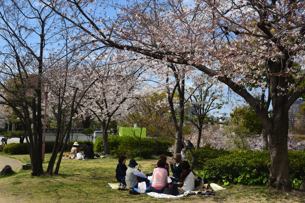 190405a天王寺公園35