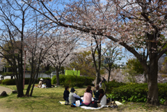 190405a天王寺公園35