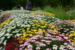 250601京都植物園50