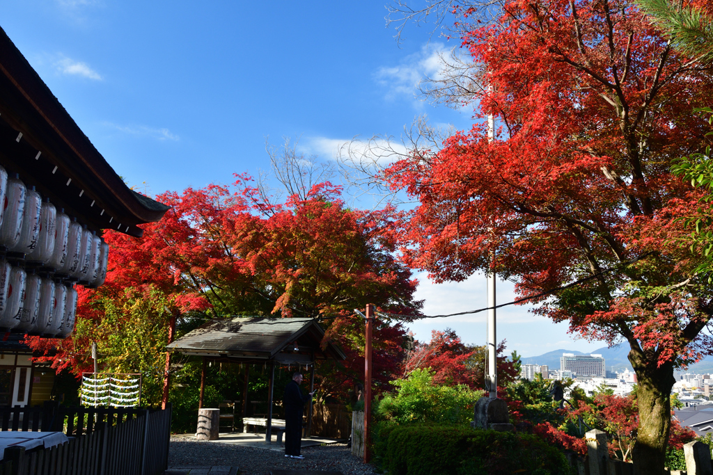 251120a粟田神社06