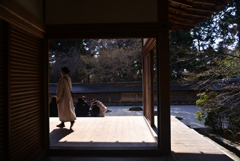 250121a龍安寺15