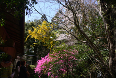 220330b奈良公園32