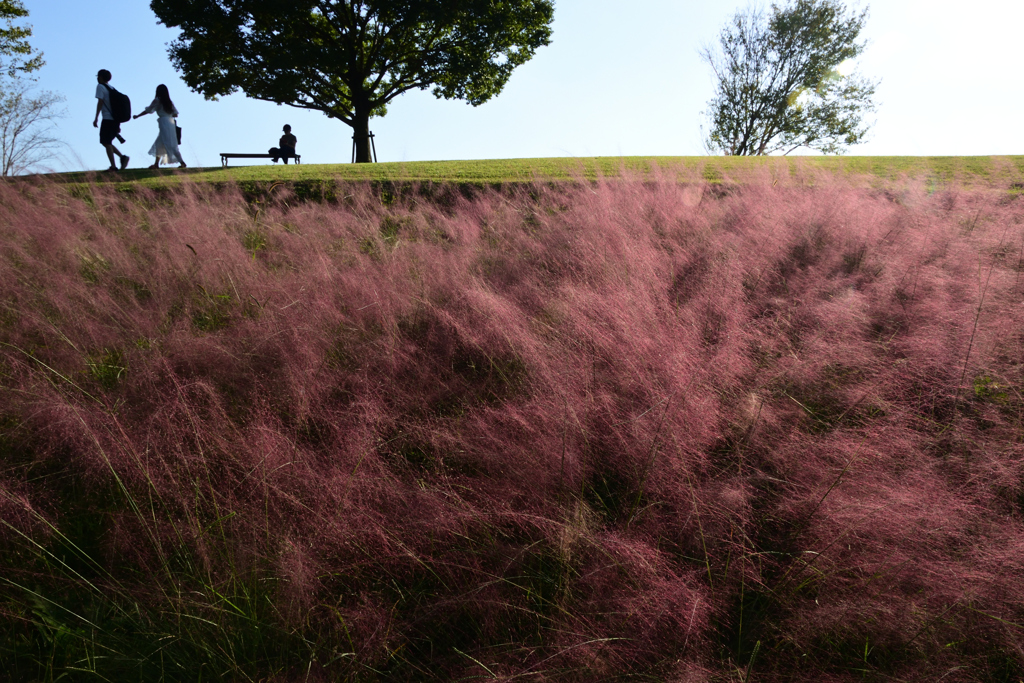 211015万博公園29