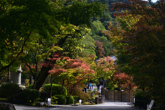 211024d永観堂06