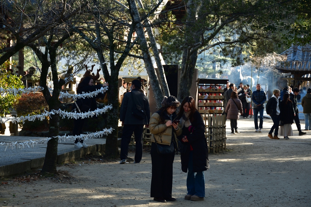 260103藤森神社11