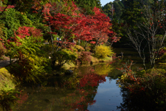 201108円成寺14