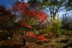 211129a法華寺06