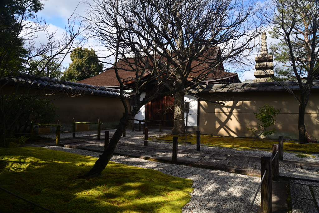 230209b大徳寺23