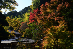 221112a久安寺15